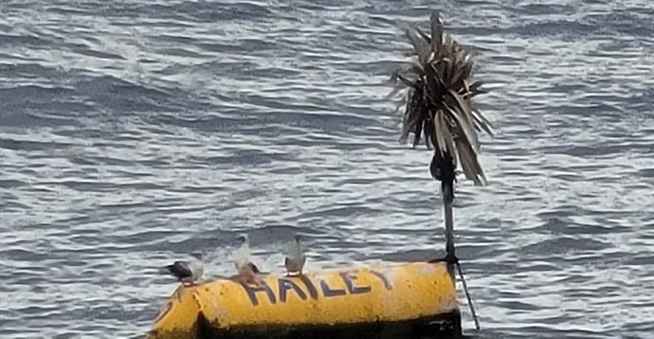 Slow Boat to (near) China